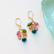 Venezia - Multi-Gemstone Cluster Earrings